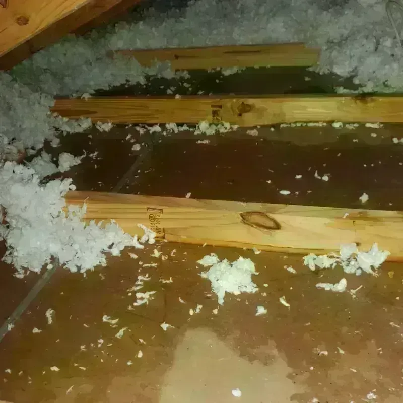 Attic Water Damage in Genoa, OH